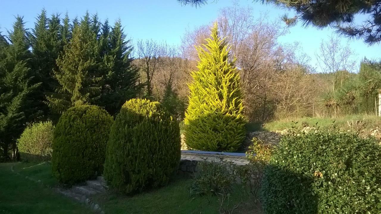 Canigou Lodge Vernet-les-Bains Esterno foto