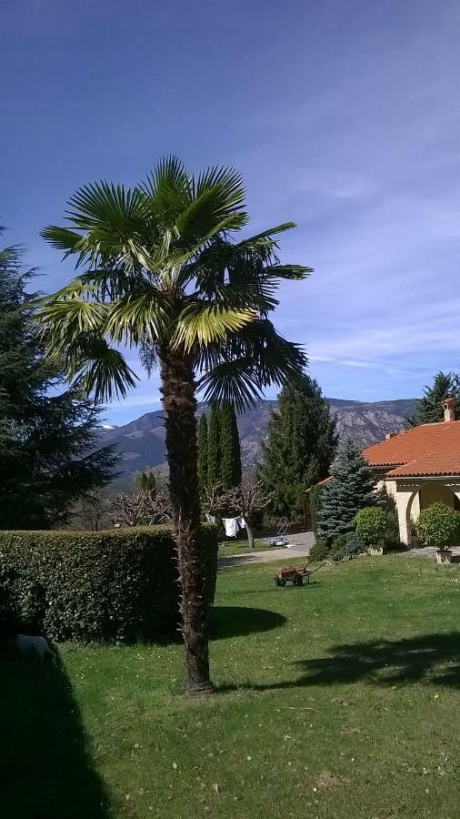 Canigou Lodge Vernet-les-Bains Esterno foto