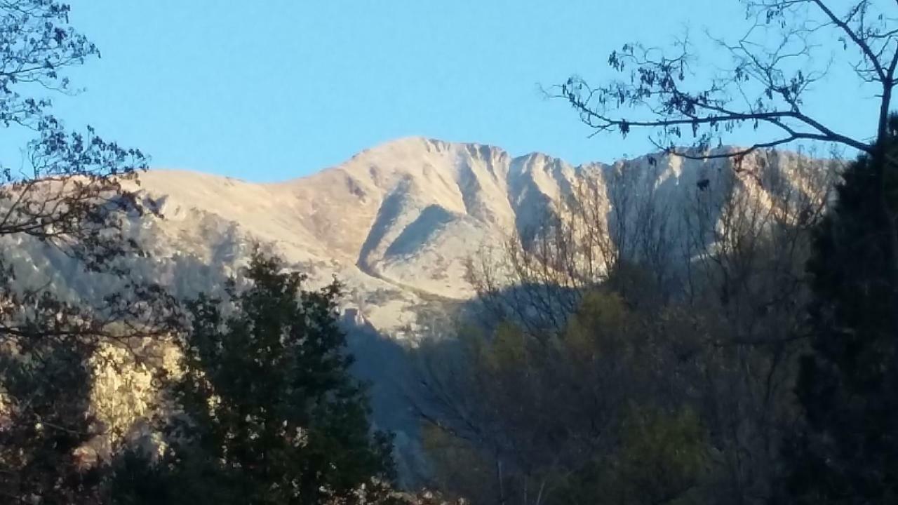 Canigou Lodge Vernet-les-Bains Esterno foto